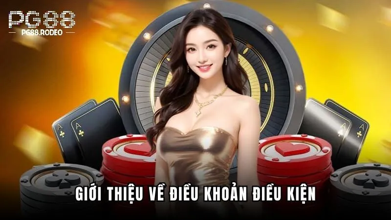 Điều Khoản Và Điều Kiện PG88 1 Ý nghĩa của các quy định trong điều khoản và điều kiện pg88