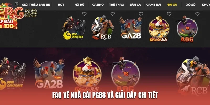 trang chủ 33 FaQ về nhà cái PG88 và giải đáp chi tiết